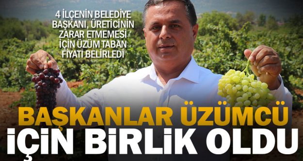 Türkiye'nin şaraplık üzüm deposunda, fiyat artışı için güç birliği
