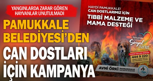 Pamukkale Belediyesi can dostları için kampanya düzenledi