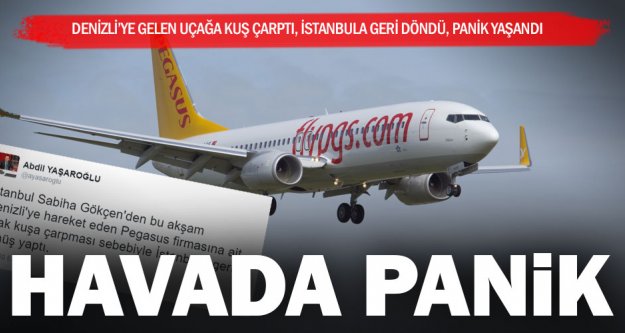 Kuş çarptı, uçak İstanbul'a döndü