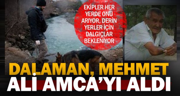 Mehmet Ali Amca, Dalaman Çayı'nda aranıyor