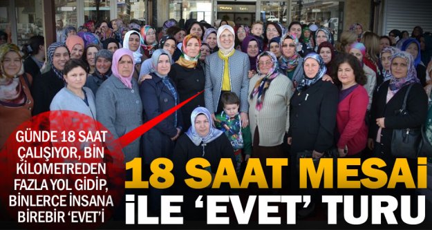 Ramazanoğlu'nun referandum çalışmaları tam gaz