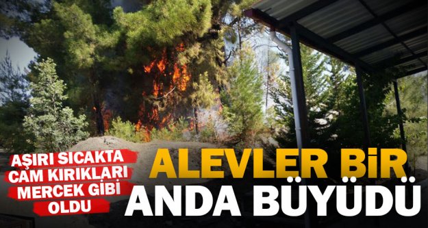 Kelekçi'de aile sağlığı merkezi yanındaki orman yangını korkuttu