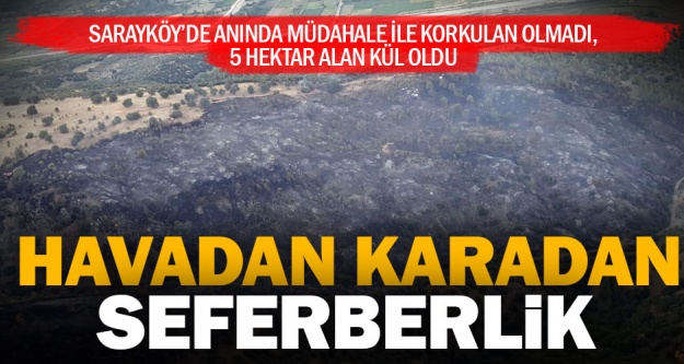 Sarayköy'de 5 hektar ormanlık alan kül oldu