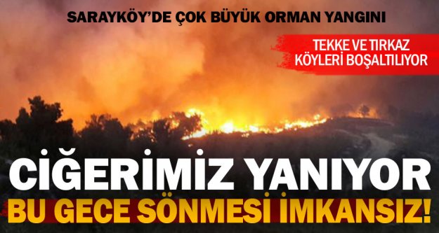Sarayköy'de ciğerimizi yakan orman yangını