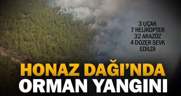 Honaz'da orman yangını
