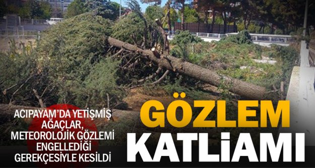 Meteoroloji istasyonundaki ağaçlar kesildi