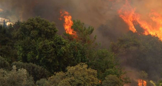 Çameli'de orman yangını