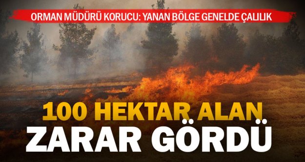 Akhan'da 100 hektar alan yandı