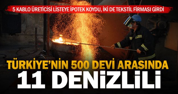Türkiye'nin 500 büyük sanayi kuruluşundan 11'i Denizlili