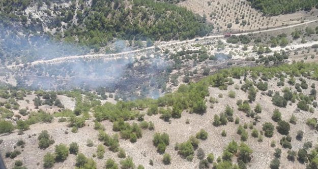 Genç fidanların bulunduğu ormanda 5 dekarlık alan yandı