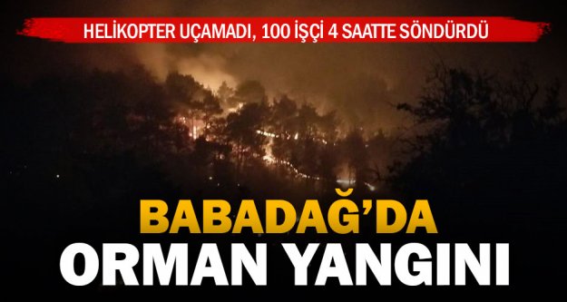 2 hektarlık ormanlık alan yandı