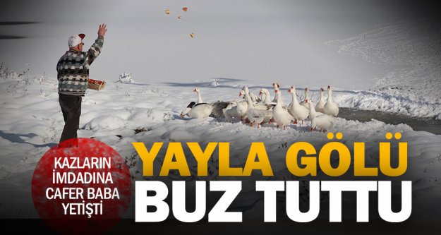 180 kuş çeşidinin yaşadığı Yayla Gölü buz tuttu