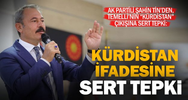 HDP'li Temelli'nin ‘Kürdistan ifadesine Tin'den tepki: Bu adam ne zırvalıyor