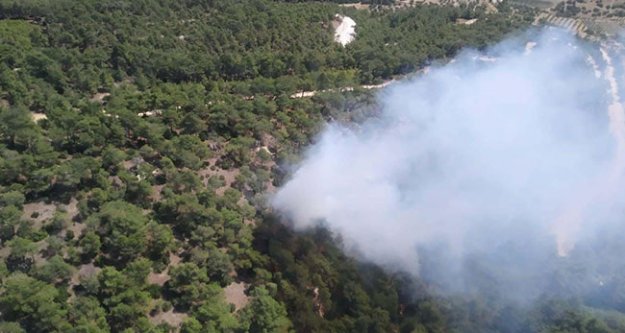 Buldan'da 1 dekar ormanlık alan yandı