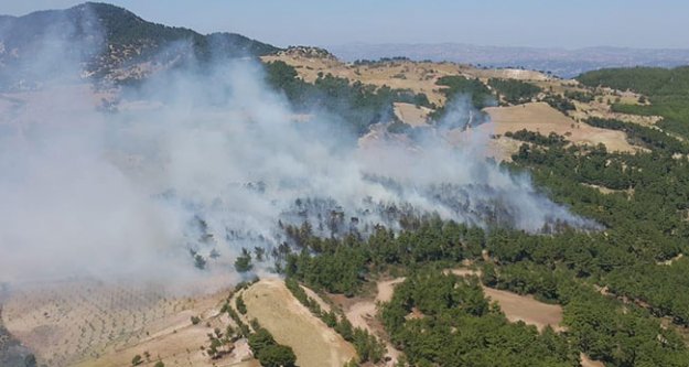 Buldan'da orman yangını