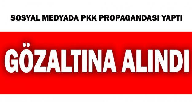Sosyal medyada PKK propagandası yaptı, gözaltına alındı