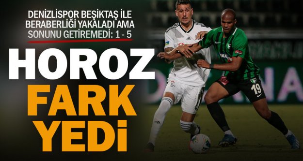 Denizlispor Beşiktaş'a farklı yenildi: 1 – 5