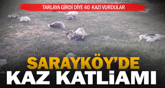 Sarayköy'de kaz katliamı