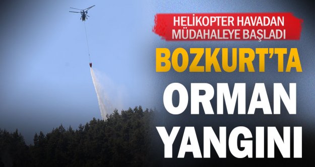 Bozkurt'ta orman yangını