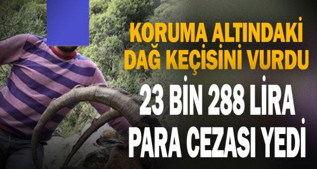 Koruma altındaki dağ keçisini vurdu 23 bin 288 lira para cezası yedi