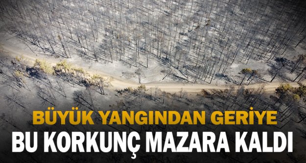 Denizli'deki orman yangınında soğutma çalışmaları sürüyor