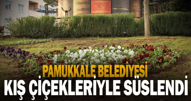 Pamukkale Belediyesi ilçeyi kış çiçekleriyle süslüyor