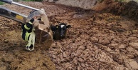 Hayvan gübresine gömülen ineği itfaiye kurtardı