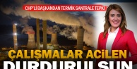 Avdan termik santraline CHP'li Belediye Başkanı Doğan'dan tepki