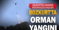 Bozkurt'ta orman yangını